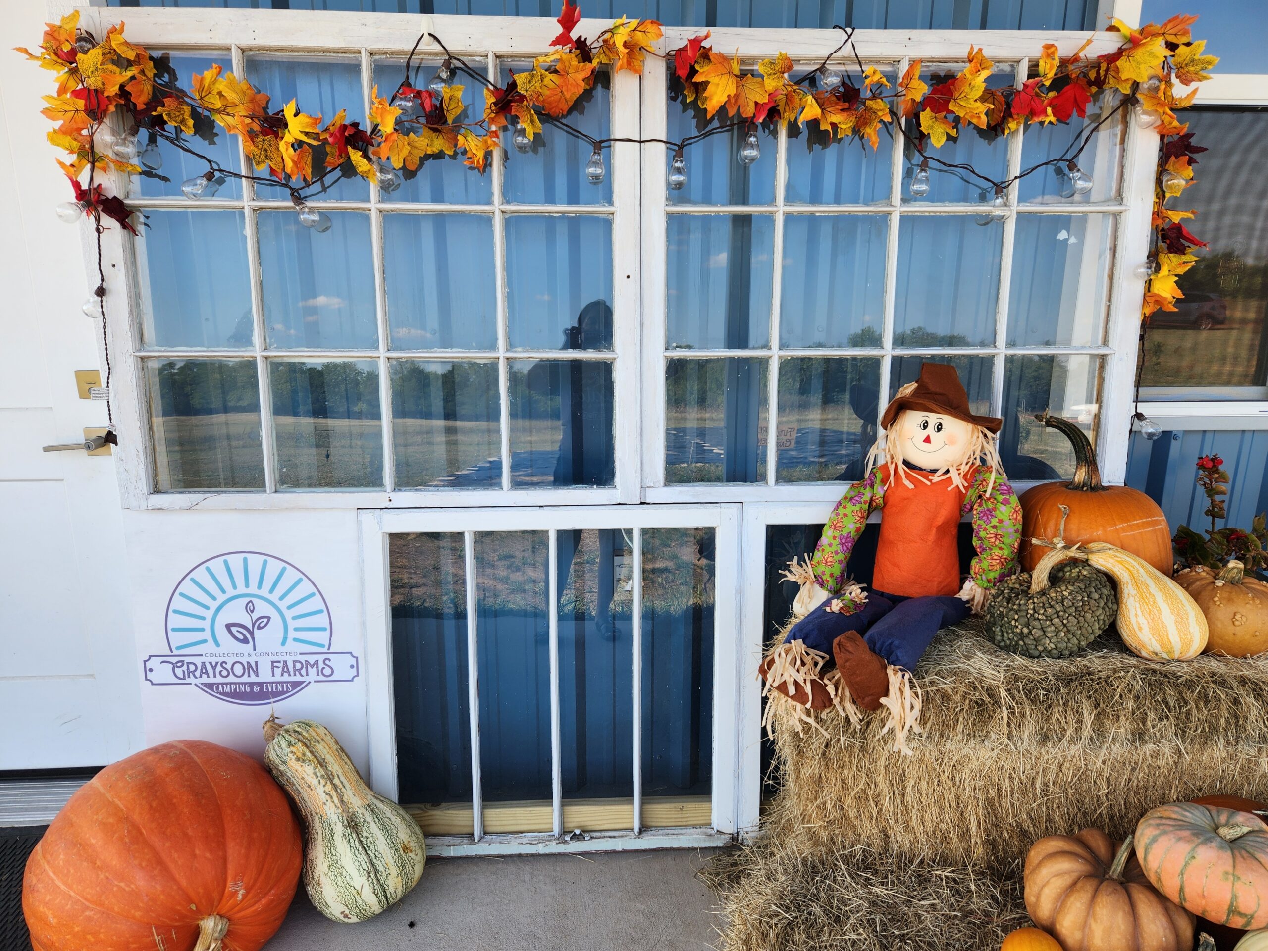 Pumpkin Patch